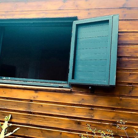 Tiny House Les Cactus - Bungalow St Gilles Les Hauts Saint-Paul Zewnętrze zdjęcie